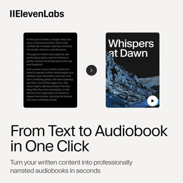 Winnend concept: ElevenLabs