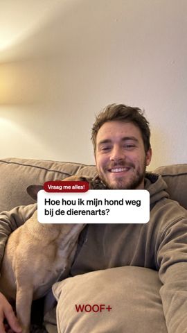 WOOF+ AI-ad