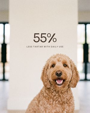 WOOF+ AI-ad: 55% minder tandsteen