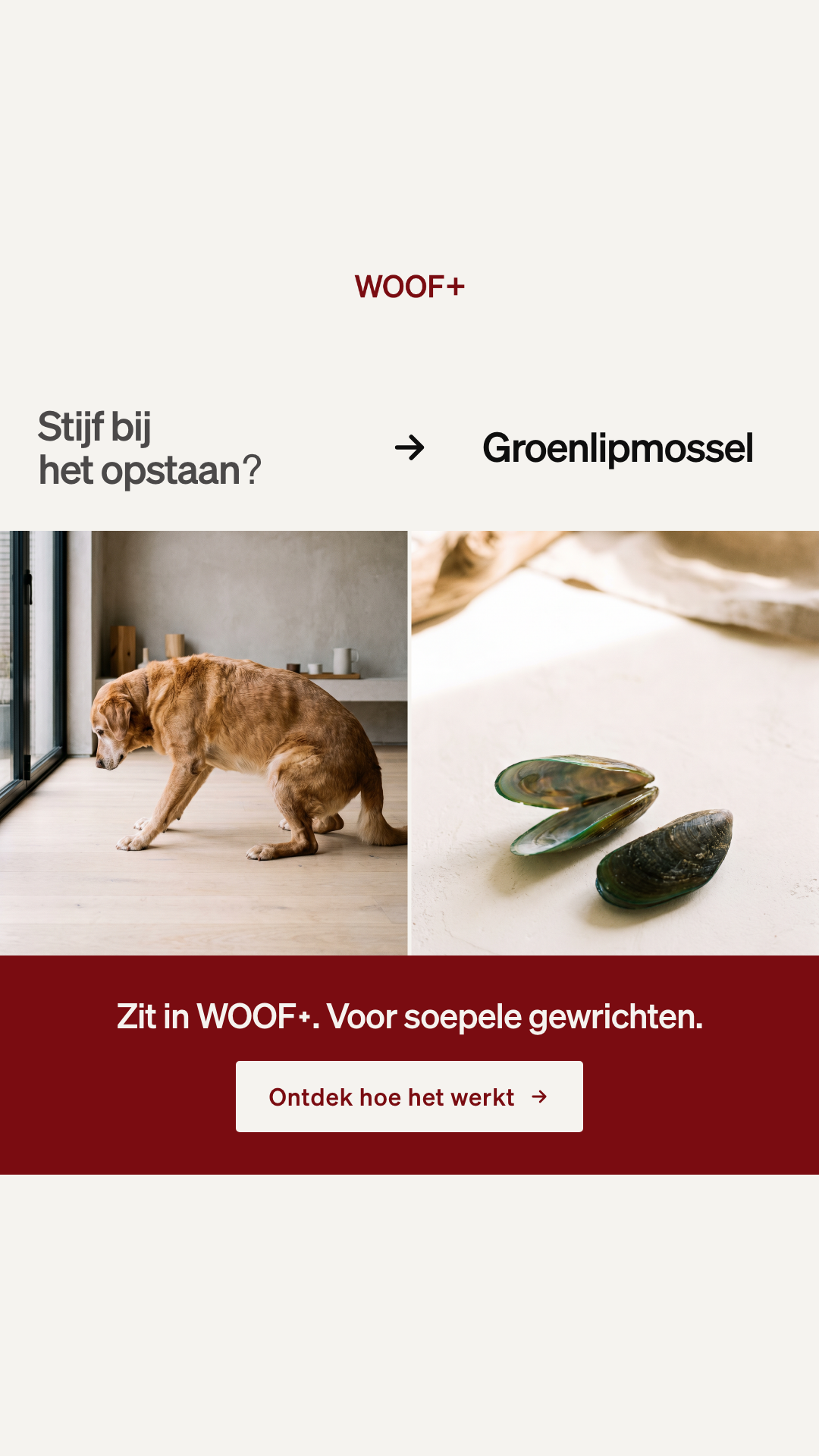 WOOF+