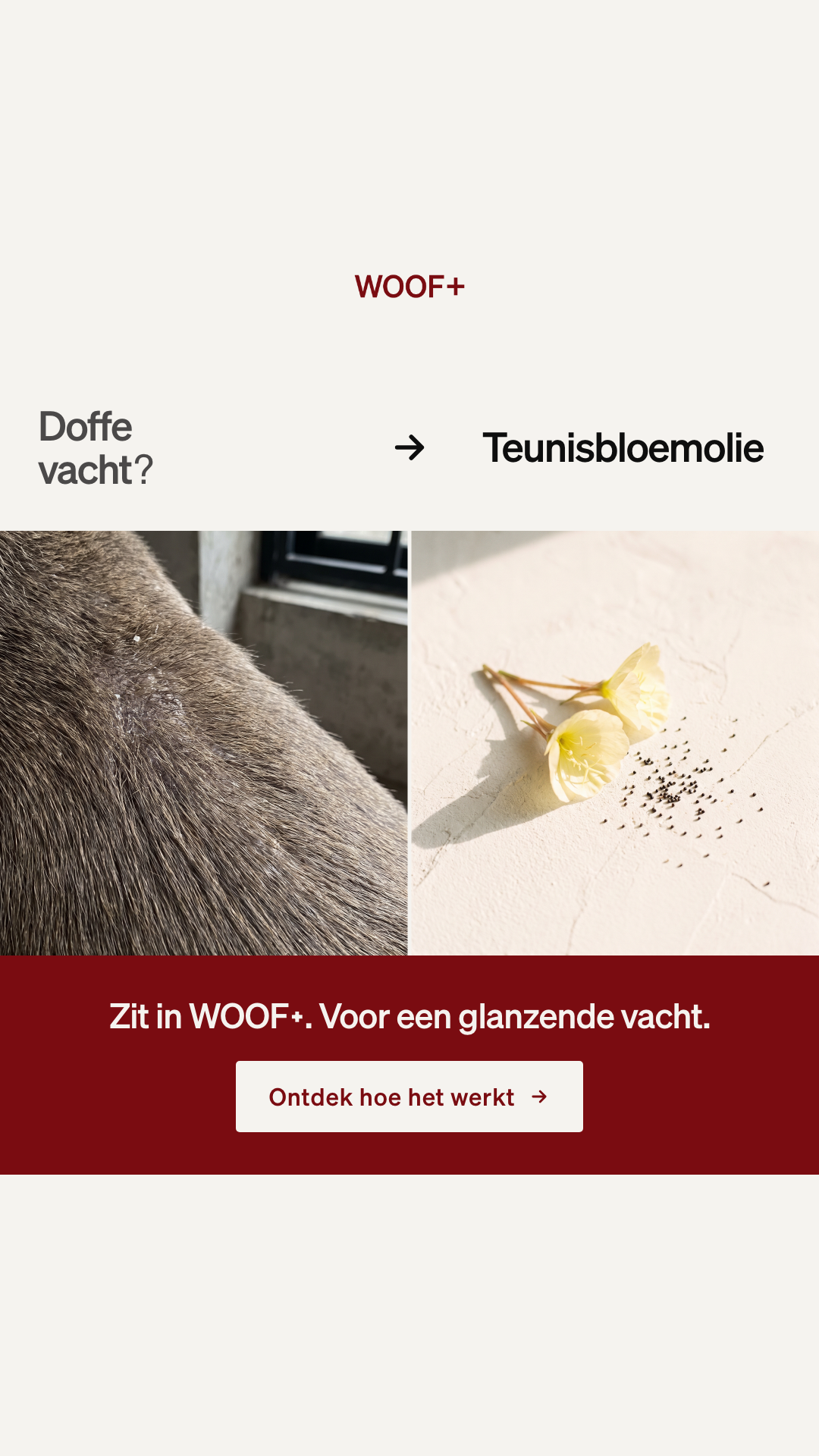 WOOF+ kennis ingrediënt static