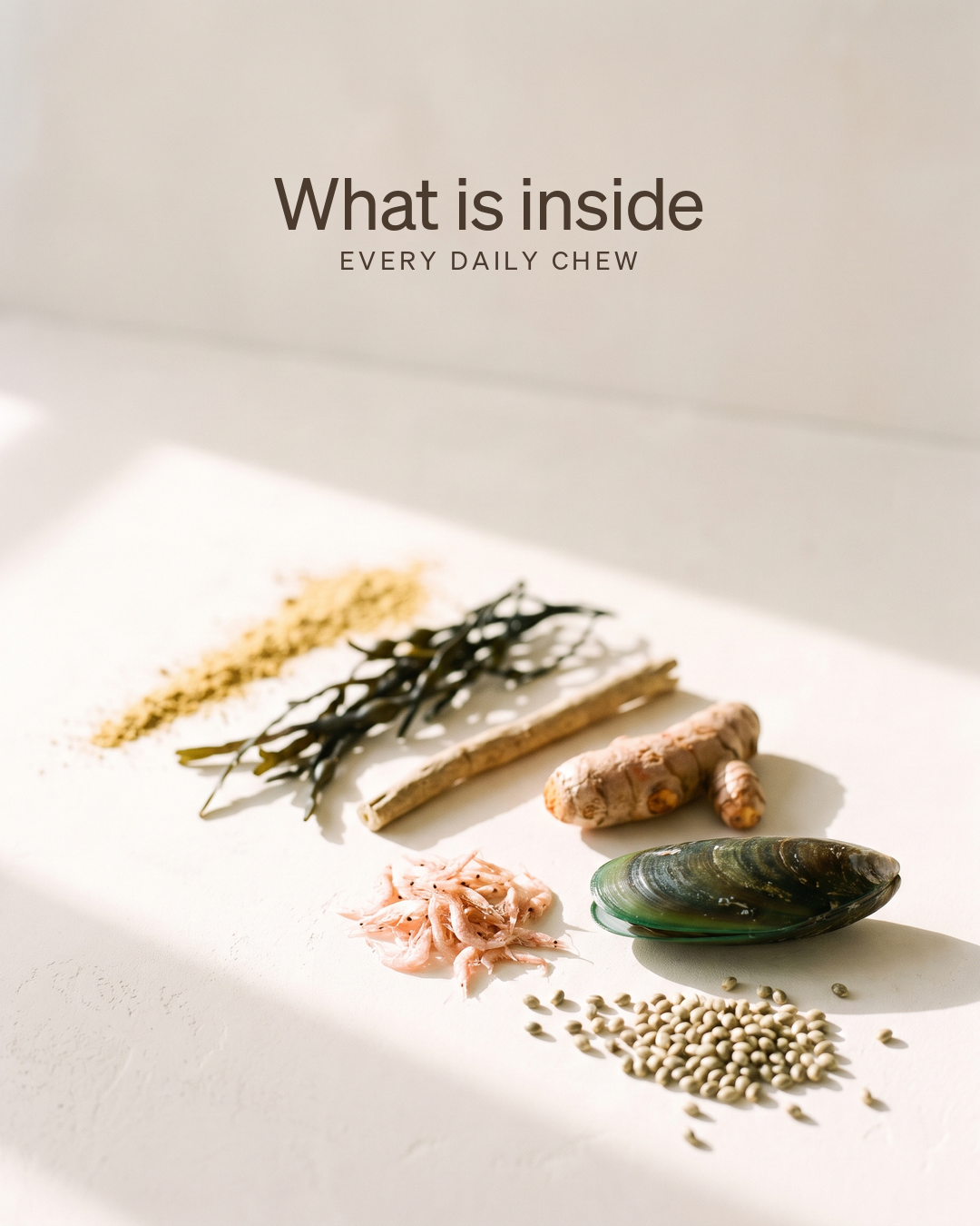 What is inside every daily chew