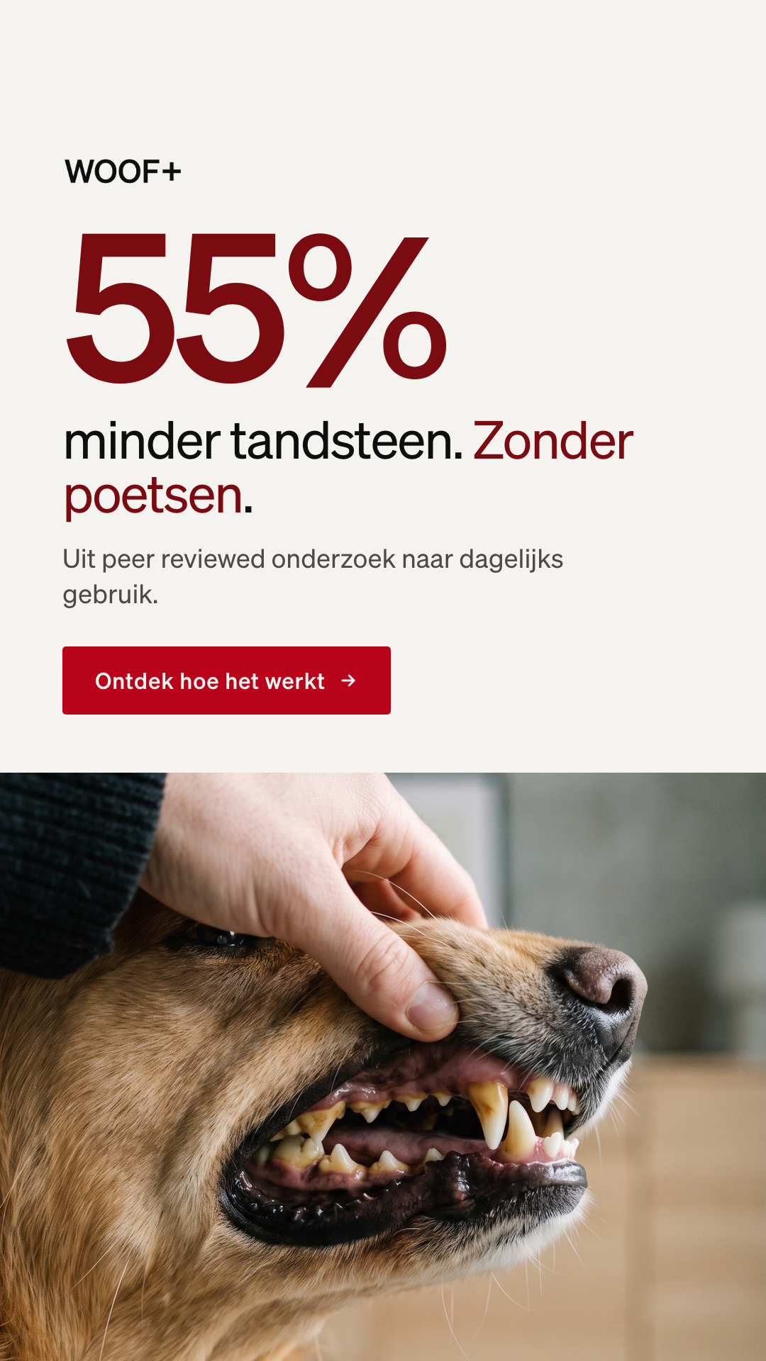WOOF+ probleem oplossing static